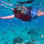 Snorkeler underwater in a blue ocean wearing a red vest and mask surrounded by a school of striped tropical fish near a coral reef