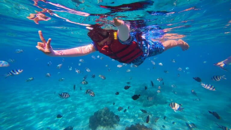 Snorkeler underwater in a blue ocean wearing a red vest and mask surrounded by a school of striped tropical fish near a coral reef