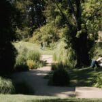 Sunlit park scene with a couple walking along a path while others sit among tall grasses and trees
