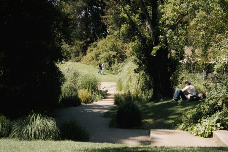 Sunlit park scene with a couple walking along a path while others sit among tall grasses and trees