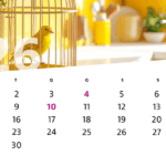 June calendar page over a bright yellow kitchen background featuring a yellow bird inside a cage calendar dates arranged in a grid with the 4th 10th and 14th highlighted in magenta