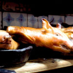 Roasted whole pigs lying on trays with crispy brown skin in a kitchen or serving area