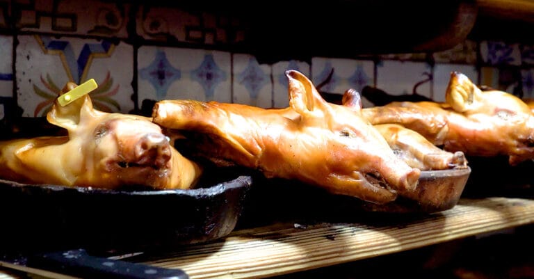 Roasted whole pigs lying on trays with crispy brown skin in a kitchen or serving area