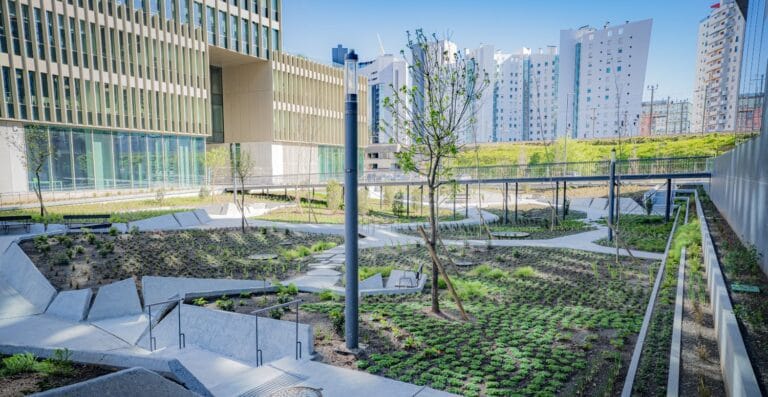 Modern rooftop garden with concrete terraces young trees and low growing plants against city high rises
