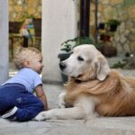 Young child sits on stone ground facing a golden retriever sharing a moment outdoors beside a columned wall