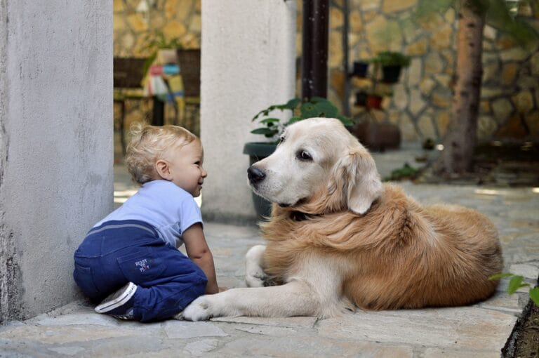 Young child sits on stone ground facing a golden retriever sharing a moment outdoors beside a columned wall