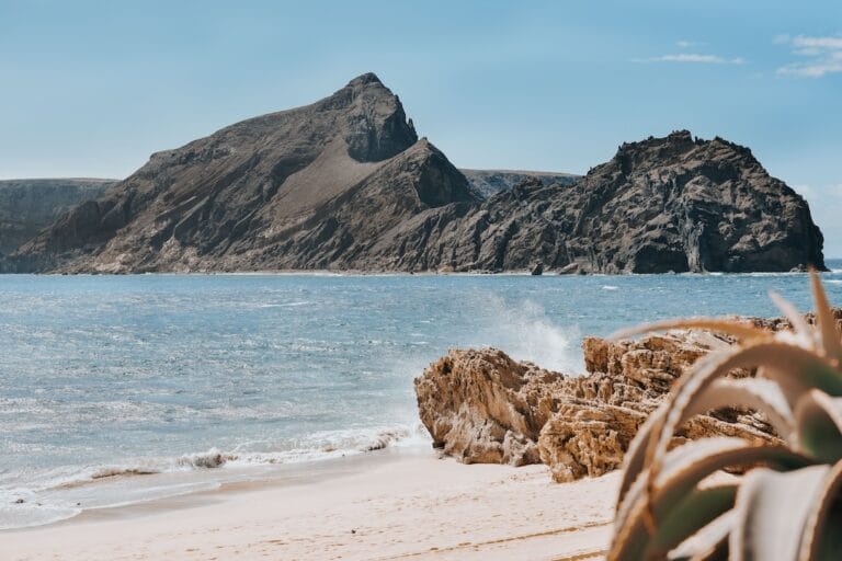 Rocky offshore island rising from a calm blue sea with a sandy beach in the foreground and a spiky plant at the edge of the frame