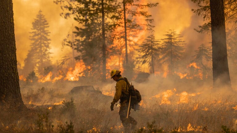 Firefighter in yellow protective gear and helmet walks through a smoky forest fire with flames burning around him