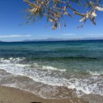 Clear blue sea at a pebbled beach with gentle waves branches frame the top edge