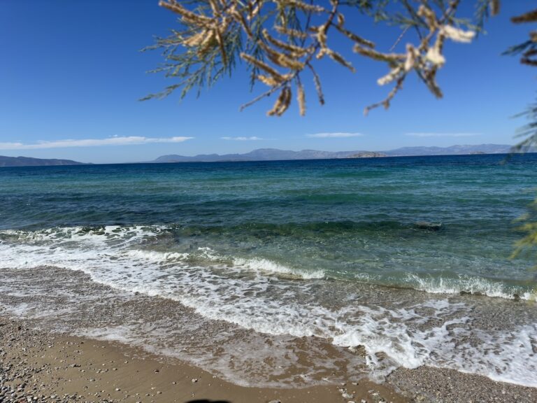 Clear blue sea at a pebbled beach with gentle waves branches frame the top edge