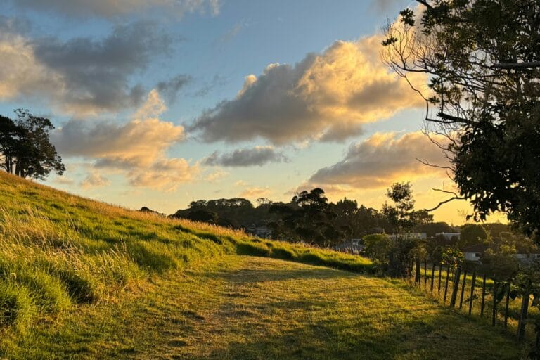 Sunny hillside path through tall grass with a wooden fence on the right and trees in the distance under a golden sunset sky