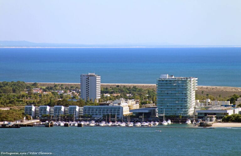 Coastal cityscape with a marina of boats in the foreground and modern buildings along the shore against a blue sea and sky horizon