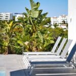 Row of white lounge chairs along a poolside patio with tropical plants and a modern building in the background